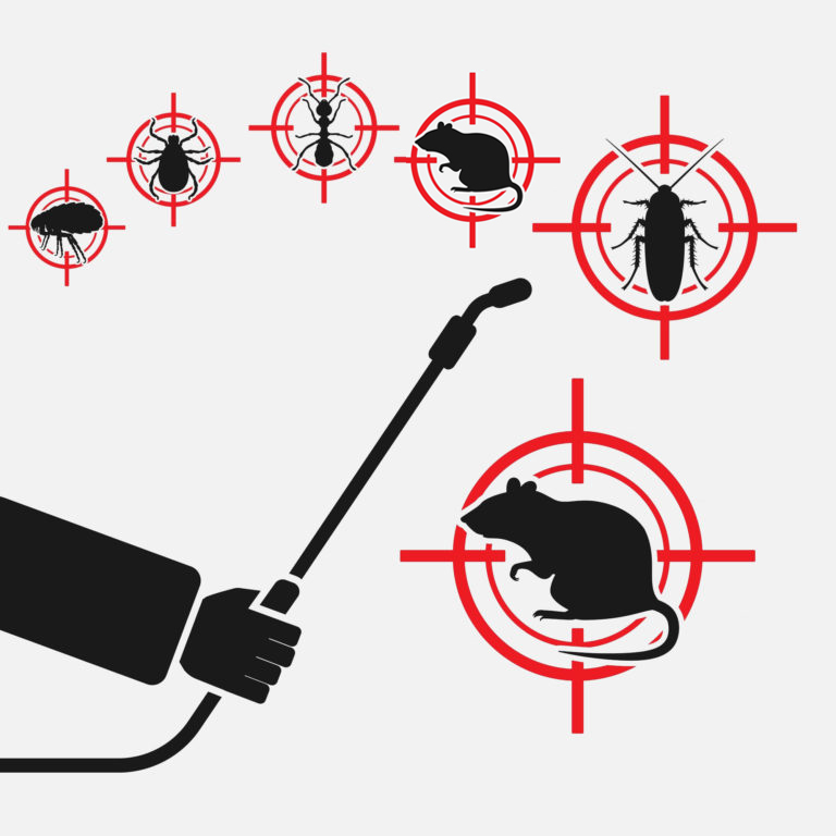 Pests-Cork-768x768 copy